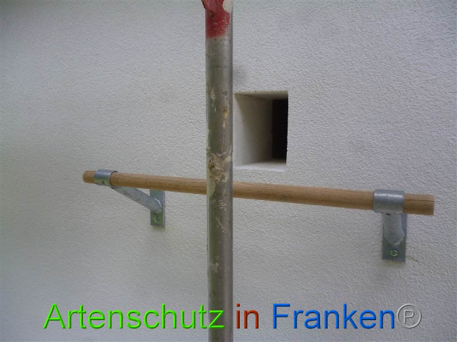 © Artenschutz in Franken® Bild zum Eintrag (1009218-160)