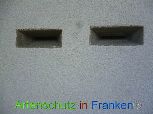 © Artenschutz in Franken® Bild zum Eintrag (1009220-160)
