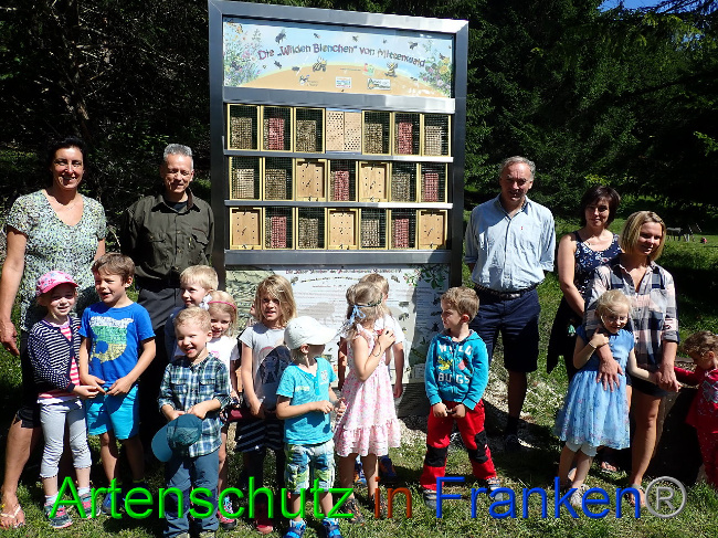 © Artenschutz in Franken® Bild zum Eintrag (1009329-160)