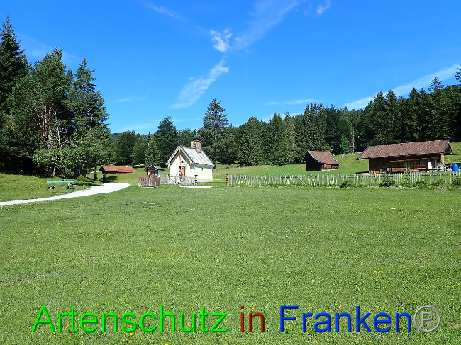 © Artenschutz in Franken® Bild zum Eintrag (1009332-160)