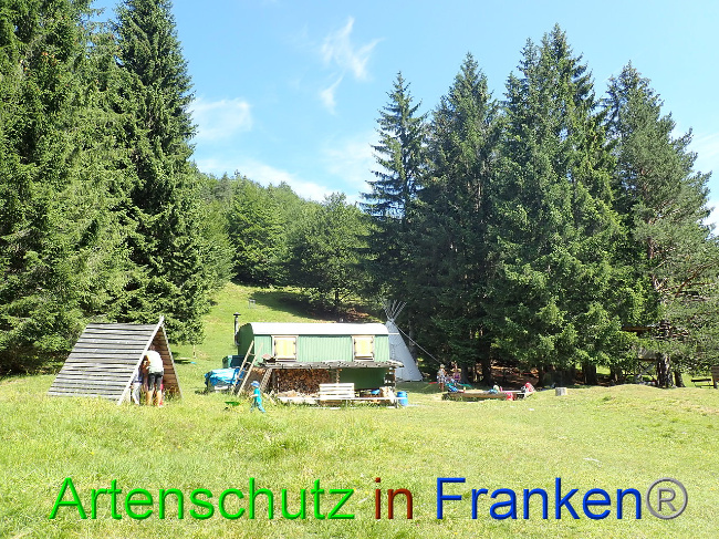 © Artenschutz in Franken® Bild zum Eintrag (1009336-160)