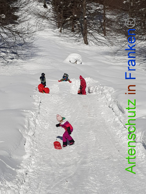 © Artenschutz in Franken® Bild zum Eintrag (1009343-160)