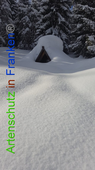 © Artenschutz in Franken® Bild zum Eintrag (1009344-160)