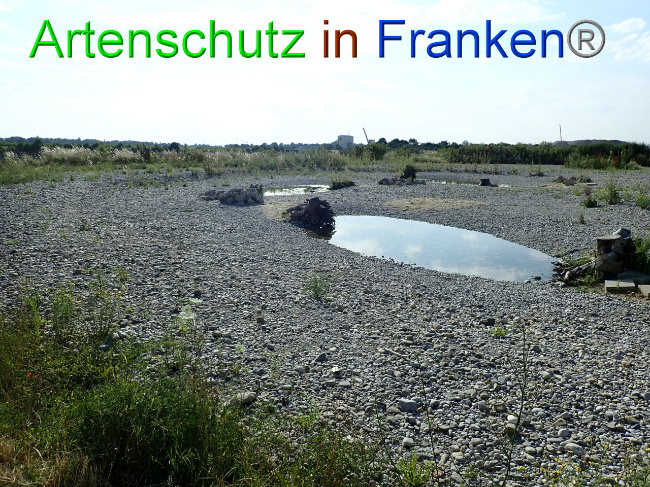 Bild zum Eintrag (1009376-160)