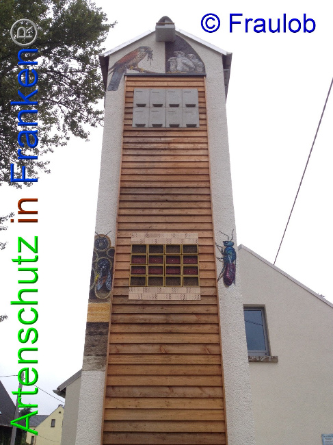 © Artenschutz in Franken® Bild zum Eintrag (1009434-160)