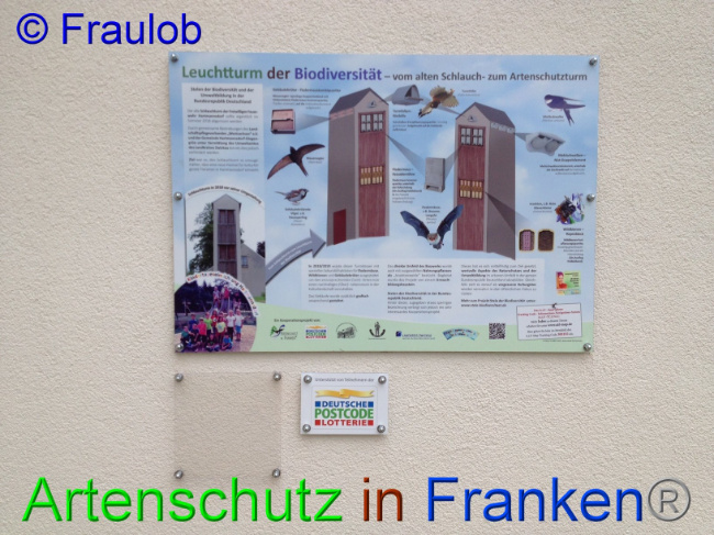 © Artenschutz in Franken® Fraulob Bild zum Eintrag (1009436-160)