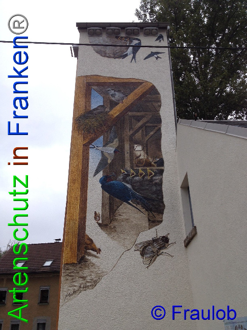 © Artenschutz in Franken® Fraulob Bild zum Eintrag (1009437-160)