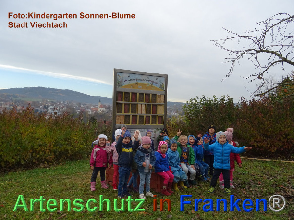 Copyright AiF / Kita Sonnen-Blume / Viechtach Bild zum Eintrag (1009442-160)