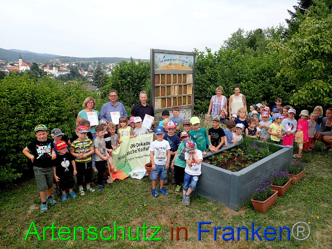 © Artenschutz in Franken® Bild zum Eintrag (1009445-160)