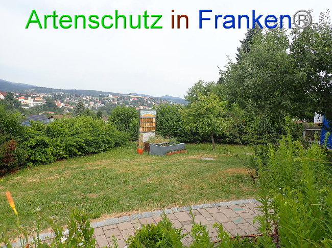 © Artenschutz in Franken® Bild zum Eintrag (1009448-160)