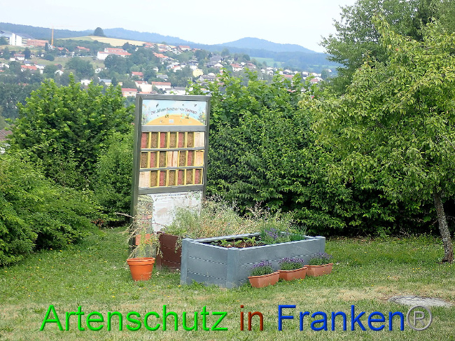 © Artenschutz in Franken® Bild zum Eintrag (1009449-160)