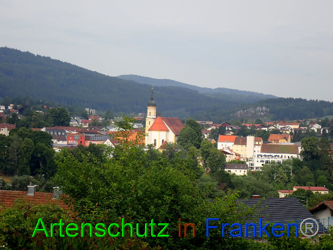 © Artenschutz in Franken® Bild zum Eintrag (1009450-160)