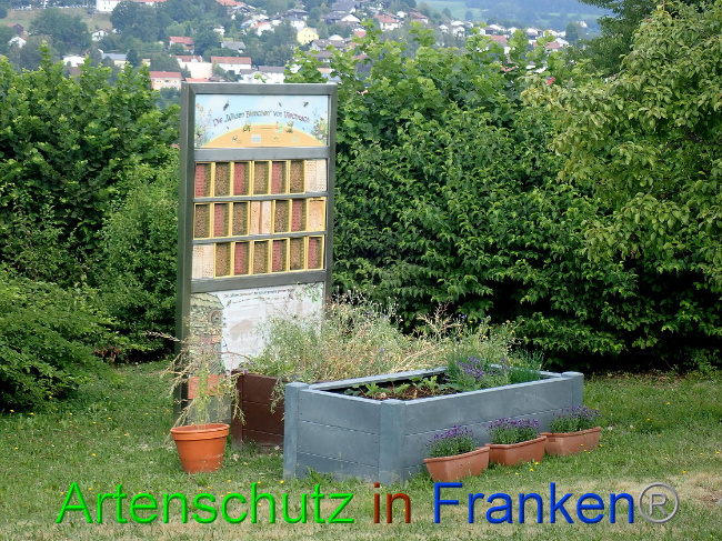 © Artenschutz in Franken® Bild zum Eintrag (1009451-160)