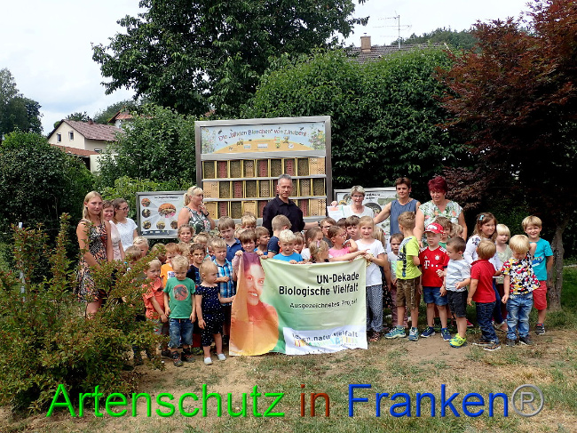 © Artenschutz in Franken® Bild zum Eintrag (1009468-160)