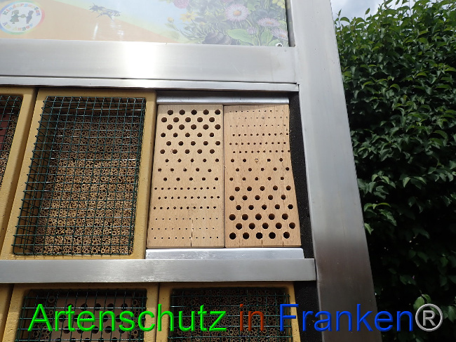 © Artenschutz in Franken® Bild zum Eintrag (1009477-160)