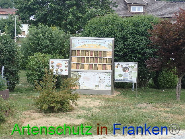 © Artenschutz in Franken® Bild zum Eintrag (1009480-160)