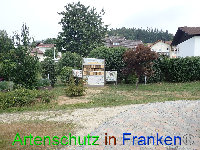 © Artenschutz in Franken® Bild zum Eintrag (1009482-160)