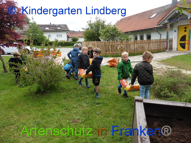 Bild zum Eintrag (1009537-160)