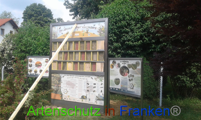 © Artenschutz in Franken® Bild zum Eintrag (1009542-160)