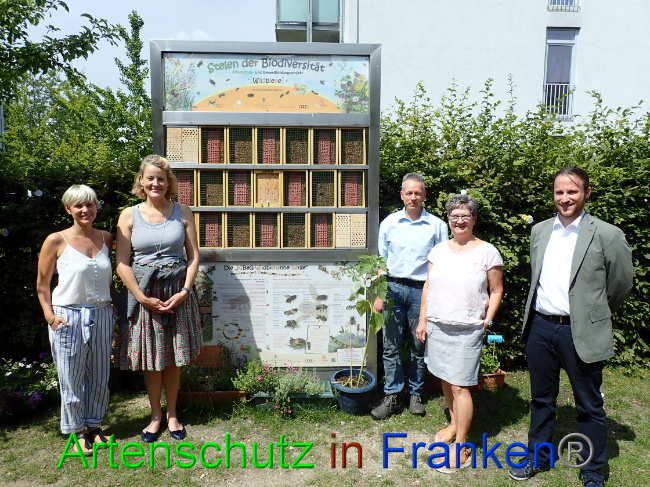 © Artenschutz in Franken® Bild zum Eintrag (1009578-160)