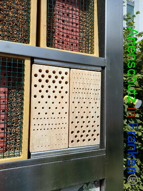 © Artenschutz in Franken® Bild zum Eintrag (1009585-160)