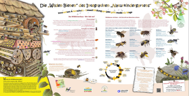 © Artenschutz in Franken® Bild zum Eintrag (1009769-160)