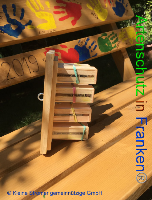 © Artenschutz in Franken® / © Kleine Stromer gemeinnützige GmbH Bild zum Eintrag (1009778-160)