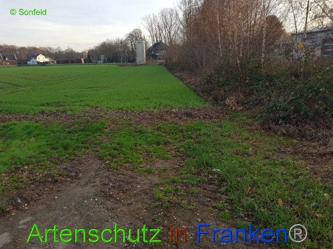 © Artenschutz in Franken® Bild zum Eintrag (1009886-160)