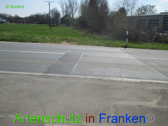© Artenschutz in Franken® Bild zum Eintrag (1009887-160)