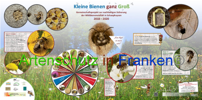 © Artenschutz in Franken® Bild zum Eintrag (1009891-160)