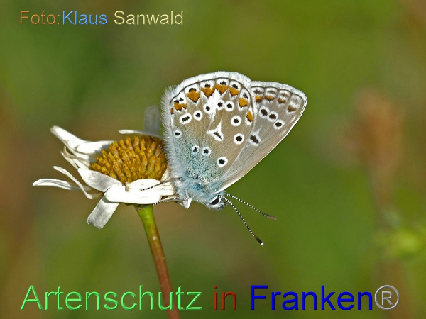 Bild zum Eintrag (101013-160)