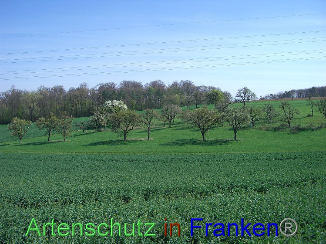 Bild zum Eintrag (1010306-160)