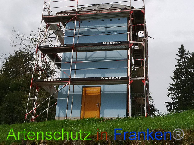 © Artenschutz in Franken® Bild zum Eintrag (1010448-160)