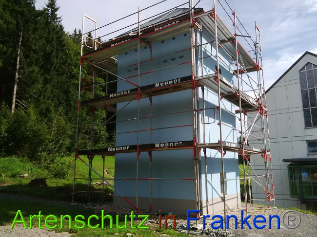 © Artenschutz in Franken® Bild zum Eintrag (1010449-160)