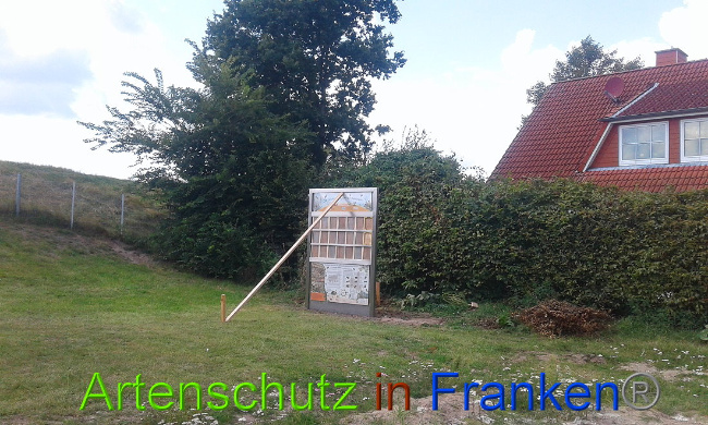 © Artenschutz in Franken® Bild zum Eintrag (1010472-160)