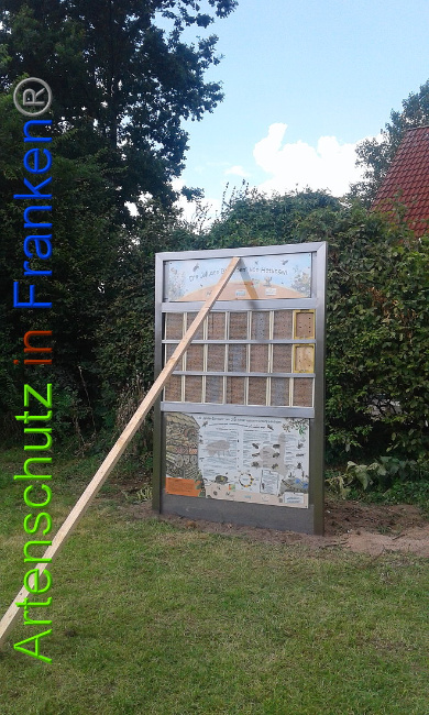 © Artenschutz in Franken® Bild zum Eintrag (1010473-160)
