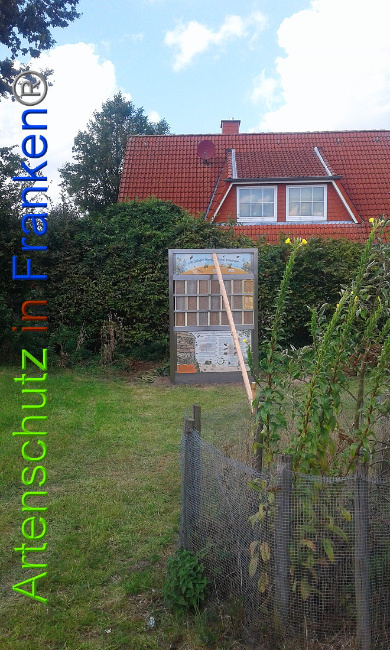 © Artenschutz in Franken® Bild zum Eintrag (1010474-160)