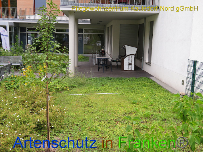 Bild zum Eintrag (1010511-160)