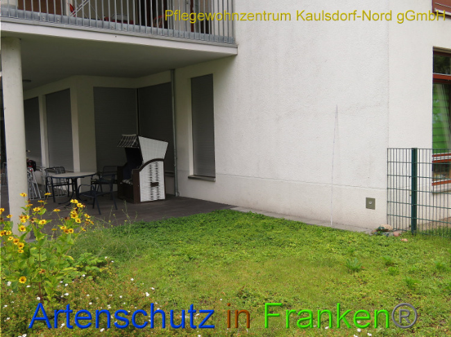 Bild zum Eintrag (1010515-160)