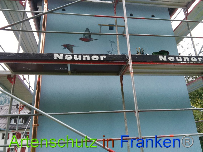© Artenschutz in Franken® Bild zum Eintrag (1010582-160)