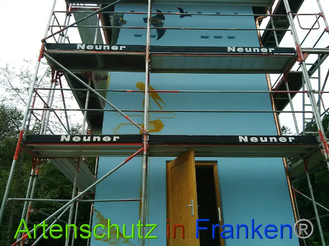 © Artenschutz in Franken® Bild zum Eintrag (1010583-160)