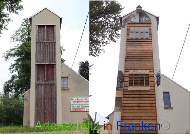 © Artenschutz in Franken® Bild zum Eintrag (1010600-160)