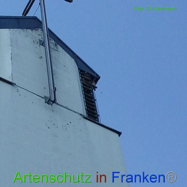 Copyright AiF Christian Kaufmann Bild zum Eintrag (101064-160)