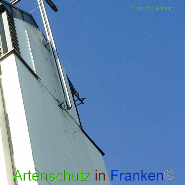 Copyright AiF Christian Kaufmann Bild zum Eintrag (101065-160)