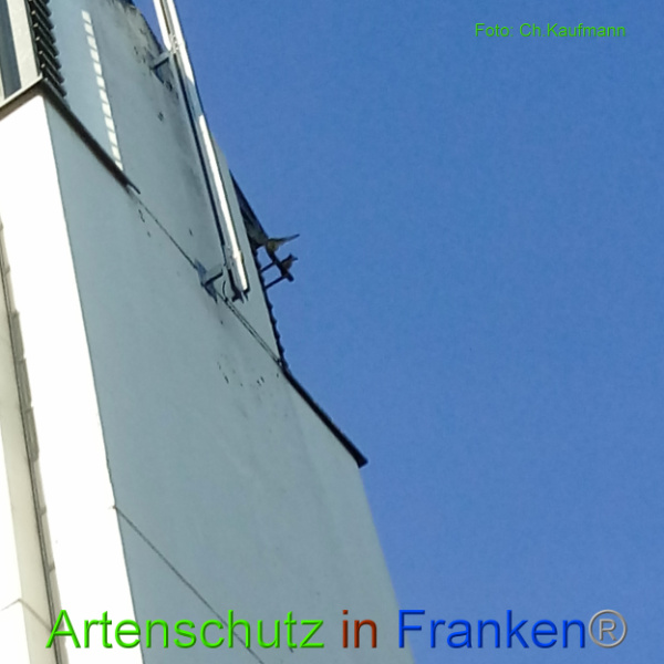 Copyright AiF Christian Kaufmann Bild zum Eintrag (101066-160)