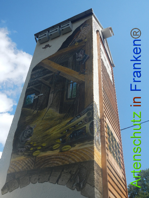 © Artenschutz in Franken® Bild zum Eintrag (1010717-160)