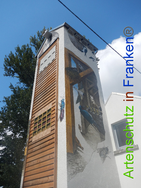 © Artenschutz in Franken® Bild zum Eintrag (1010719-160)