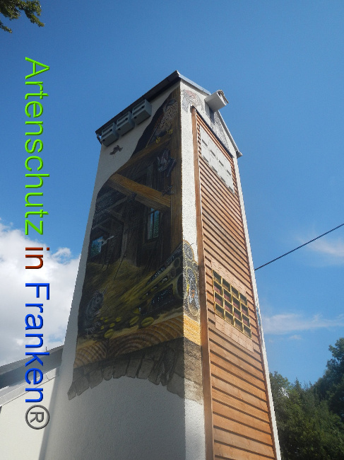 © Artenschutz in Franken® Bild zum Eintrag (1010722-160)