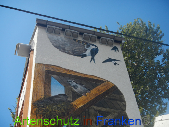 © Artenschutz in Franken® Bild zum Eintrag (1010726-160)