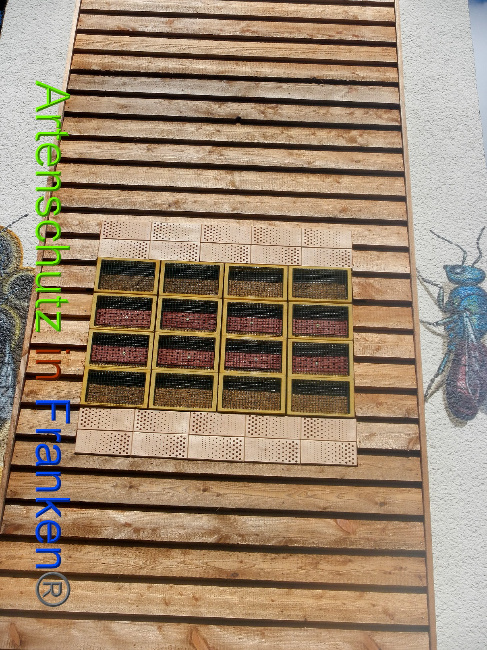 © Artenschutz in Franken® Bild zum Eintrag (1010727-160)